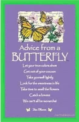 Advice From A Butterfly Let Your True Colors Show Get Out Of Your Cocoon MAGNET • $4.73