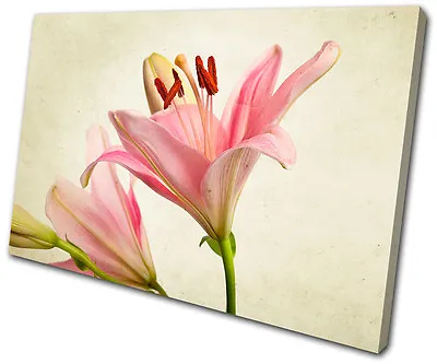 Floral Lily Flowers SINGLE CANVAS WALL ART Picture Print VA • £39.99