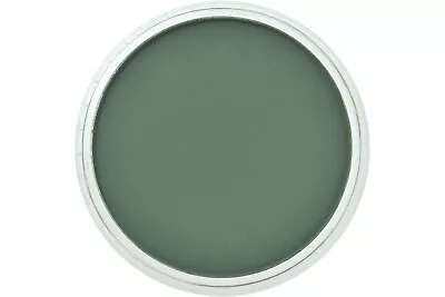 PanPastel Artists Pastel Permanent Green Extra Dark - 6401 • £8.67