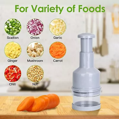 Hand Food Chopper Kitchen Vegetable Fruit Salad Onion Garlic Manual Press Dicer • $12.49