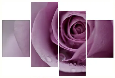 20  X 40 + Long 4 Piece Wall Art Canvas Pictures Pale Pink Lilac Roses Prints • £49.99