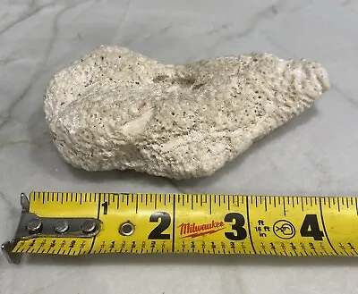 4.5  Dried Natural Coral Fossil Beach Ocean Sea Reef Fish Tank Aquarium • $7.50