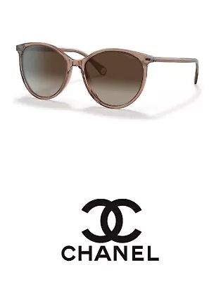 Chanel Sunglasses Brown 2023 With Box • $187