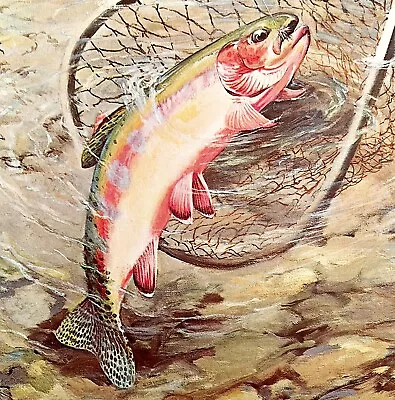 Golden Trout Fish 1960s Lithograph Art Print Game Fishing Vintage Hines DWT6 • $18