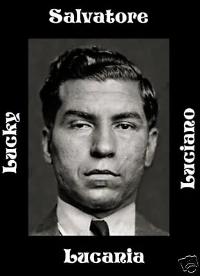 Lucky Luciano Mafia Mobster Mug Shot 1930 Poster Print • $6.49