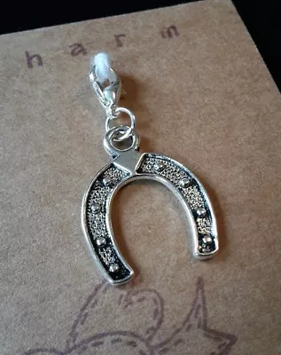 Lucky Horseshoe Clip On Charm For Bracelet Keyring Bag Zip • £2.25