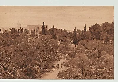 Palestine Vintage Postcard 1921 No.103 Jamal Bros Gardens In Hebron 1921 • $7.99