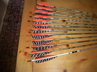 Nine Are Matching Vintage 2016 Aluminum Arrows And Three Are 2117 • $15