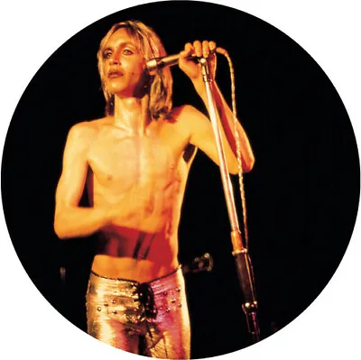 Iggy & The Stooges - More Power - A Gorgeous Picture Disc Vinyl [New Vinyl LP] P • $29.86