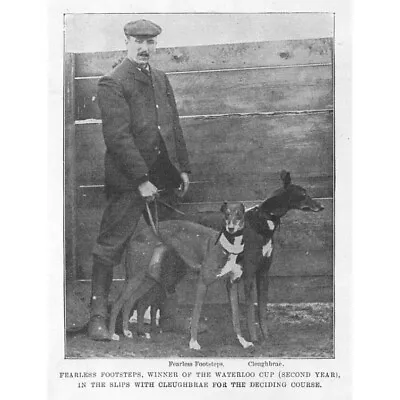 COURSING Fearless Footsteps Winner Of The Waterloo Cup - Antique Print 1901 • £6.50