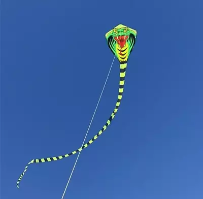 27FT Long Cobra Snake Kite With 328ft String Easy To Fly For Children Adult Toys • $16.99