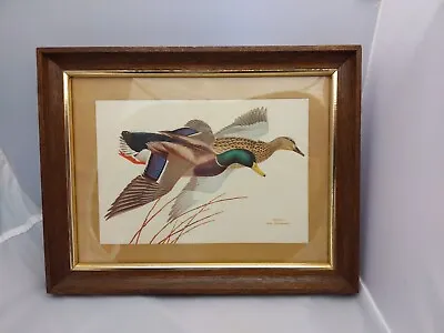 Framed Vintage Mallard Print By William Zimmerman Drake Hen Wm • $18.39