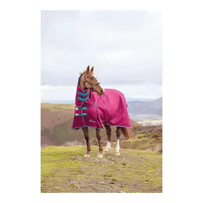 £79.95 • Buy Shires Highlander Original 300 Combo Turnout Horse Rug | Waterproof - Raspberry