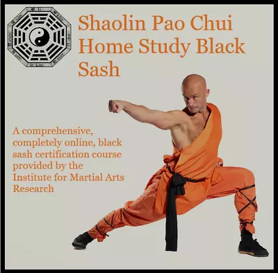 Black Sash Home Study Course (completely Online Certificate Included) • $199.99