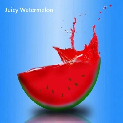 $18.95 • Buy PREMIUM HIGHLY SCENTED REED DIFFUSER REFILLS - Juicy Watermelon Fragrance