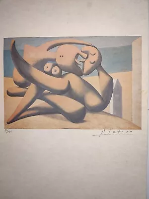 COA Pablo Picasso Painting Print Poster Wall Art Signed & Numbered • $149.95