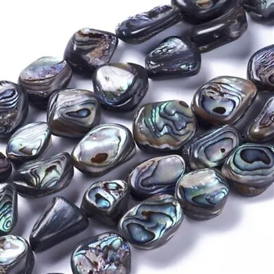 Natural Abalone Shell/Paua Shell Beads Strands Nuggets • £14.70