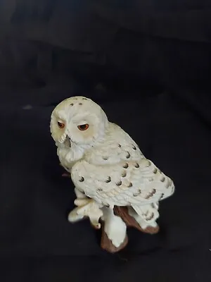  Maruri Antique Hand Painted Porcelain White Owl • $23