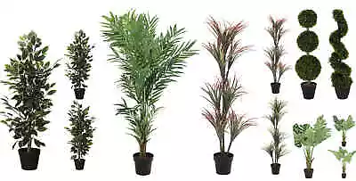 Large Artificial Plants Exotic Green Tropical Realistic Buxus Bamboo Yucca   • £39.99