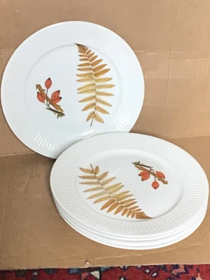 £14.50 • Buy A Set Of 6 Royal Worcester Porcelain Wild Harvest Dinner Plates