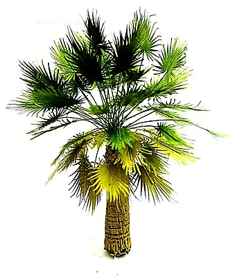 Miniature Palm Tree Model 1/50 Scale Approx 18 Cm Height. Emily Emg-057 • $13