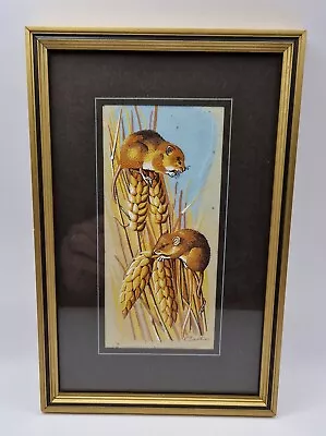 Vintage J&J Cash Woven Silk Framed Harvest Mouse Picture Boxed • £14