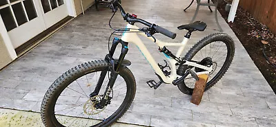 Specialized Stumpjumper Custom Carbon Expert 29” (Large) MTB Bike – **MINT*** • $2900