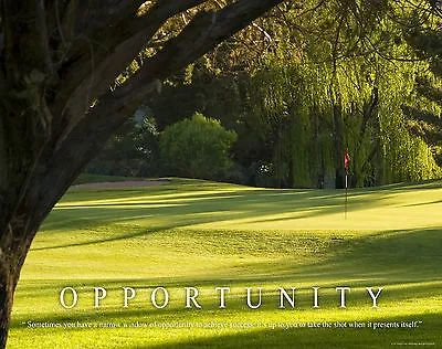 Golfing Motivational Poster Print Golf Clubs Tiger Woods Work Wall Art Decor  • $9.95