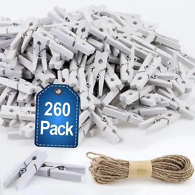 260Pcs White Mini Clothes Pins For Photos Small Clothes Pins With Jute Twine C • $10.97