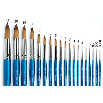 Winsor & Newton Artists Cotman Series 111 Round Single Brushes For Watercolour • £11.88