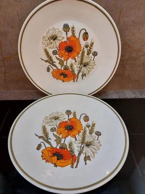 £6.99 • Buy Pair Of Classic  J&G Meakin Studio Poppy Design Dinner Plates 25cm Stunning!