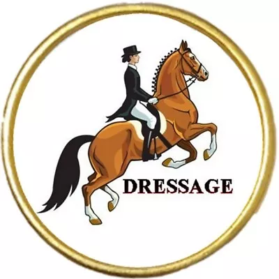 Dressage Event Horse Games Gold Colour Round Badge And Velvet Bag • £3.99