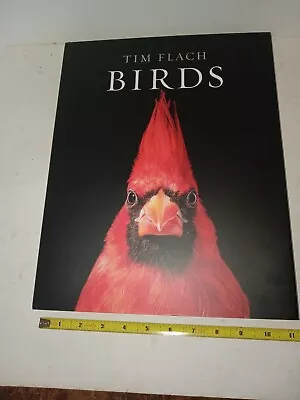 Birds  Huge And Impressive  Coffee Table Book By Tim Flach • $45