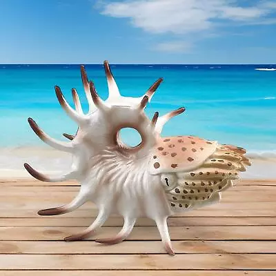 Sea Animal Figure Desktop Decoration Ornament Nautilus Model For Kids Teens • $18.95