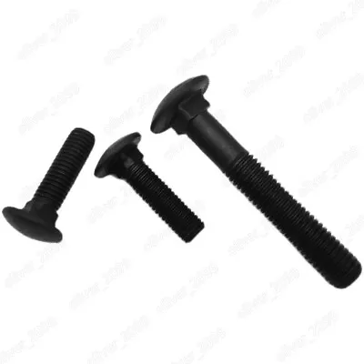 M8 M10 M12 M16 M20 Black 8.8 Steel Cup Head Square Neck Bolts Screws • $178.95