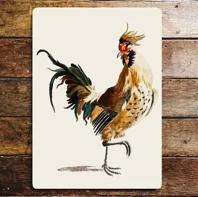 Cockerel Drawing Chicken Hen Farm Animal   Metal  Sign • £4.99