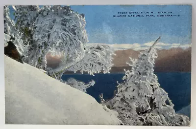 Frost Effects On Mt. Stanton Glacier National Park Montana MT Vintage Postcard • $2.95