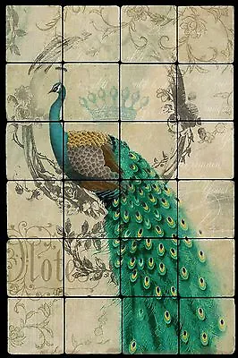 Peacock Still Life Stone Tumbled Marble Tile Wall Mural Backsplash 16x24  • $150