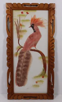 Vintage MEXICAN FEATHER BIRD ART Feathercraft Folk Art 16 X8  Carved Frame 1960s • $29.99