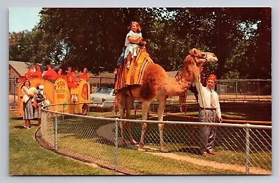 The Zor Shrine Club Vilas Park Madison Wisconsin Vintage Unposted Postcard • $14