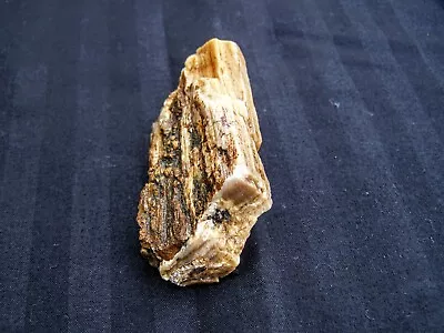 Agate Petrified Wood - Tom Miner Basin Montana • $15