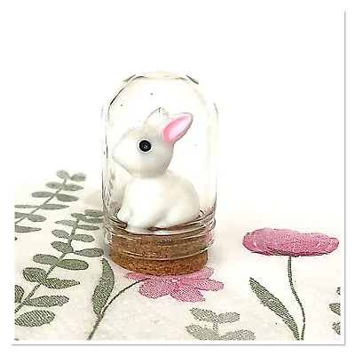 UNIQUE - Cute Bunny In A Miniature Glass Dome.... Great Gift For Easter • £4.25