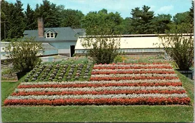 Hartford CT Floral American Flag Made From Flowers Elizabeth Park Postcard JP10 • $9.99