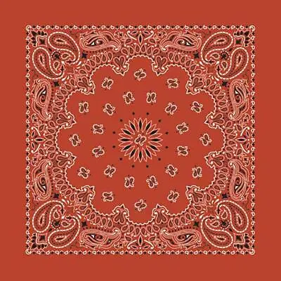 New 22  Terra Cotta Paisley Bandana Handkerchief Scarf 100% Cotton Made In USA • $7.49