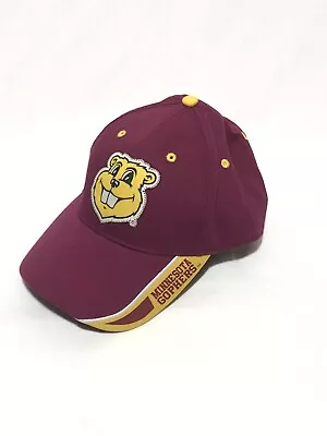 Minnesota Golden Gophers Hat • $10.82