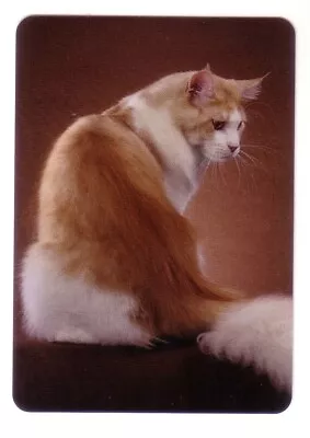 Beautiful Ginger + White Maine Coon Cat - Modern Wide Linen Swap Playing Card  • $1.48