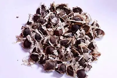 Moringa Oleifera Seeds 500 G - Organic Natural Herbal Ayurvedic Free Shipping • $35.65