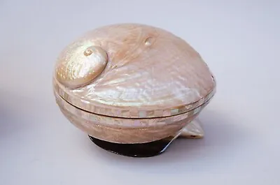 Egyptian Mother Of Pearl Abalone Shell Oval Jewelry Box With Base 6  #768 • $109.99