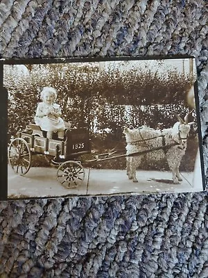 1925 Girl In GOAT CART WAGON Vintage Snapshot PHOTO Image  • $19.95