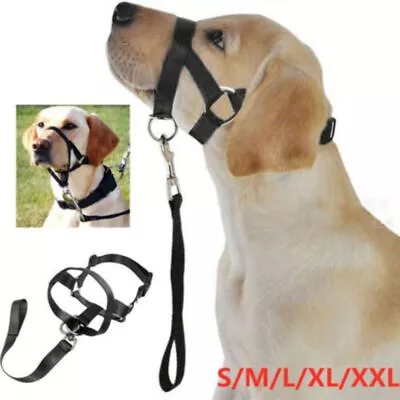 UK Hot Dog Halter Halti Training Head Collar Gentle Leader Harness Nylon Collars • £5.19